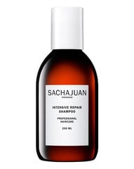 Atjaunojošs matu šampūns Sachajuan Intensive Repair 250 ml cena un informācija | Šampūni | 220.lv