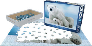 Puzle Eurographics, 6000-1198, Polar Bear & Baby, 1000 gab. cena un informācija | Puzles, 3D puzles | 220.lv