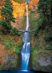 Puzle Eurographics, 6000-0546, Multnomah Falls, Oregon, 1000 gab. cena un informācija | Puzles, 3D puzles | 220.lv