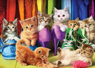 Пазл Eurographics, 6000-5543, Kitten Pride, 1000 шт. цена и информация | Пазлы | 220.lv