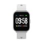 Denver SW-164 White цена и информация | Viedpulksteņi (smartwatch) | 220.lv