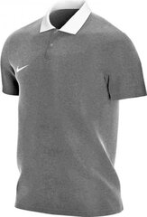 Nike мужская футболка Park 20 CW6933 071, серая цена и информация | Мужские футболки | 220.lv