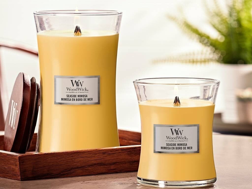 WoodWick aromātiska svece Seaside Mimosa, 453,6 g cena un informācija | Sveces un svečturi | 220.lv