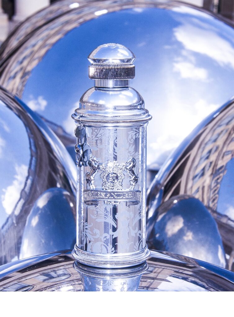 Parfimērijas ūdens Silver Ombre EDP sievietēm/vīriešiem 100 ml cena un informācija | Sieviešu smaržas | 220.lv