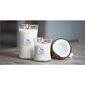 Aromātiskā svece WoodWick Island Coconut, 85 g cena un informācija | Sveces un svečturi | 220.lv