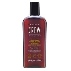 Intensīvi mitrinošs šampūns Daily Deep Moisturizing Shampoo, 250 ml cena un informācija | American Crew Smaržas, kosmētika | 220.lv