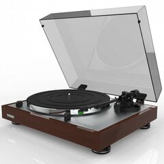 Thorens TD 402 DD Direct Drive High-gloss Walnut цена и информация | Проигрыватели для пластинок, патефоны | 220.lv