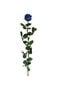 Konservēta roze Amorosa Blue cena un informācija | Stabilizētās rozes, augi | 220.lv