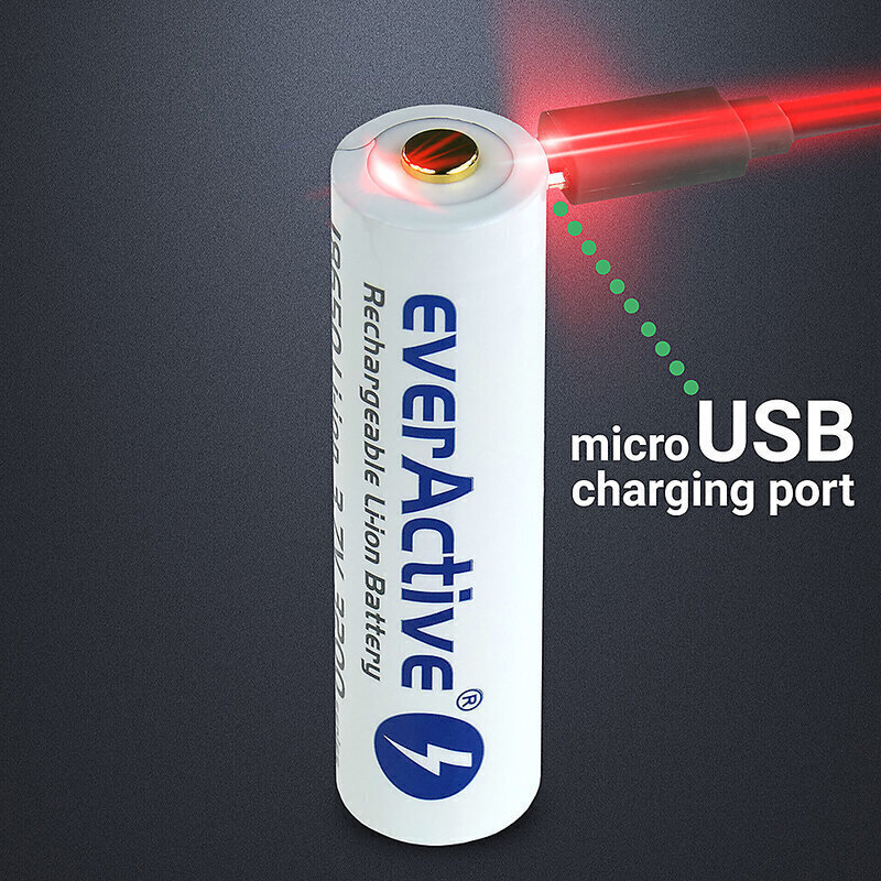 everActive USB uzlādējams akumulators ar PCM 18650 3200mAh cena un informācija | Baterijas | 220.lv