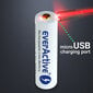 everActive USB uzlādējams akumulators ar PCM 18650 3200mAh цена и информация | Baterijas | 220.lv