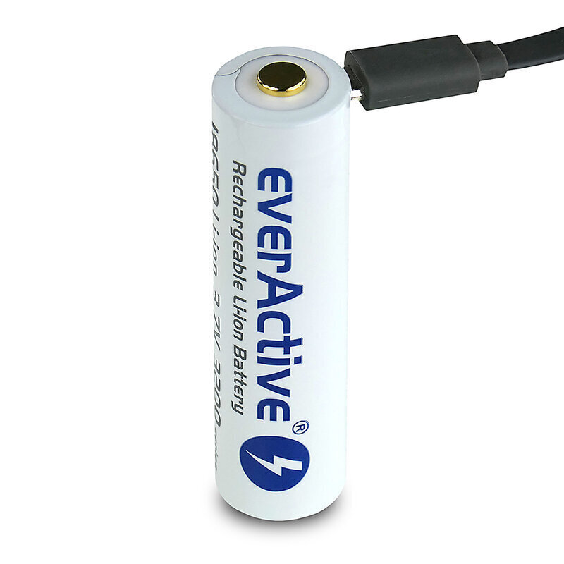 everActive USB uzlādējams akumulators ar PCM 18650 3200mAh цена и информация | Baterijas | 220.lv