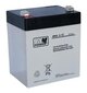 MWPower akumulators MWS 12V 5Ah F1(187) AGM, 5 gadi cena un informācija | Baterijas | 220.lv