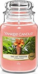 Ароматическая свеча Yankee Candle the Last Paradise 623 г цена и информация | Подсвечники, свечи | 220.lv