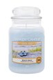 Aromātiskā svece Yankee Candle Beach Walk 623 g