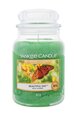 Aromātiskā svece Yankee Candle Beautiful Day 623 g