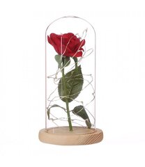 Viltus roze ar LED spuldzēm stikla kupolā cena un informācija | Stabilizētās rozes, augi | 220.lv