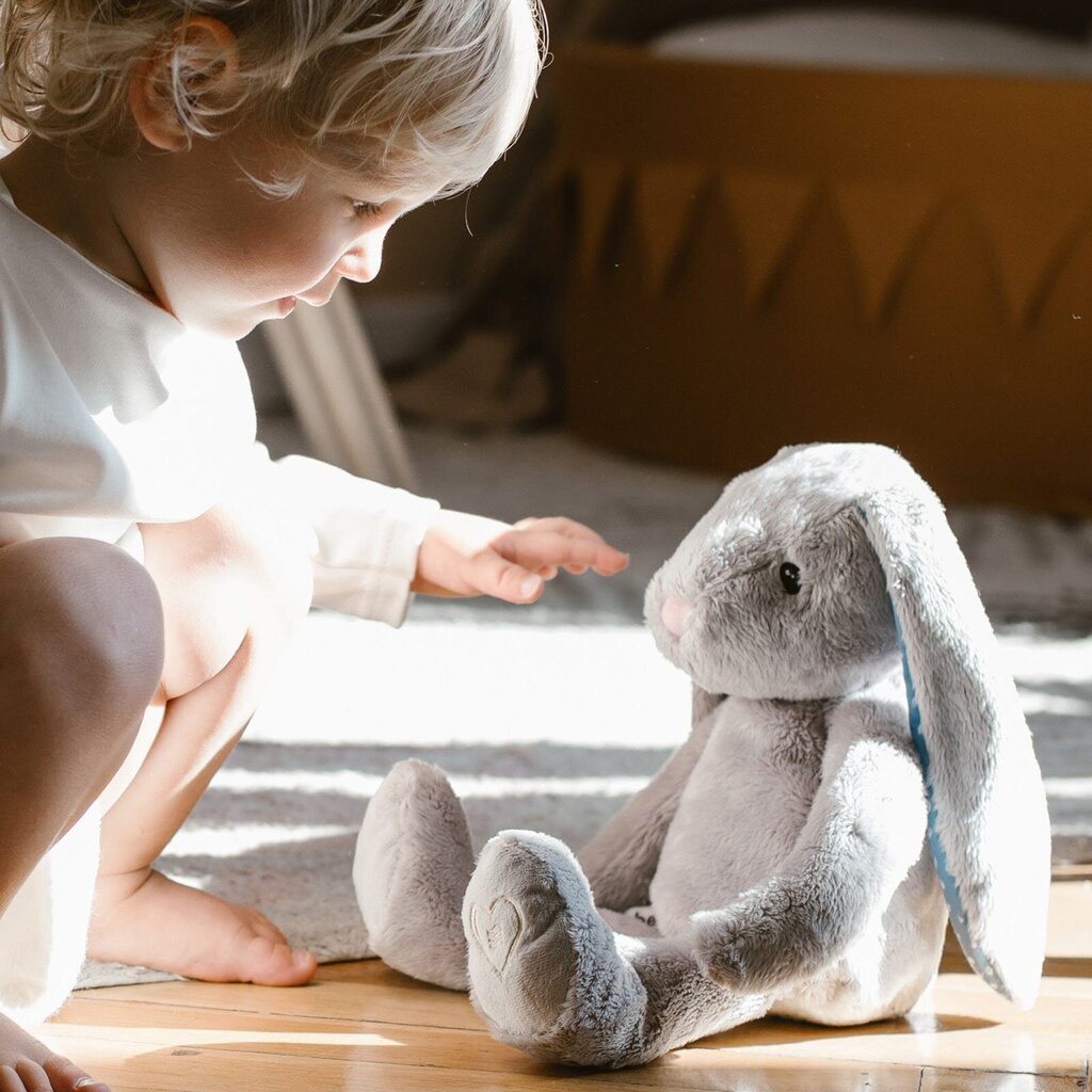 Rotaļlieta Whisbear® Humming Bunny ar raudāšanas sensoru Grey цена и информация | Rotaļlietas zīdaiņiem | 220.lv