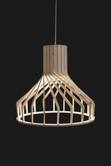 Nowodvorski Lighting подвесной светильник Bio I 6333 цена и информация | Настенный/подвесной светильник Eye Spot 11 BL, чёрный | 220.lv