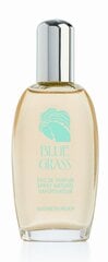 Женская парфюмерия   Elizabeth Arden Blue Grass   (100 ml) цена и информация | Женские духи | 220.lv