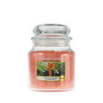 Aromātiskā svece Yankee Candle the Last Paradise 411g