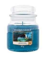 Ароматическая свеча Yankee Candle Moonlit Cove 411 г цена и информация | Подсвечники, свечи | 220.lv