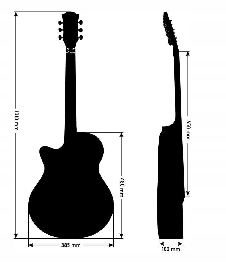 Elektriskās Akustiskās ģitāras komplekts Alamo AC-40 cena un informācija | Ģitāras | 220.lv