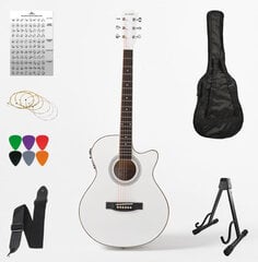 Комплект электроакустической гитары Alamo AC-40 цена и информация | Гитары | 220.lv
