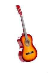 Комплект классической гитары C-2, коричневый цена и информация | Гитары | 220.lv