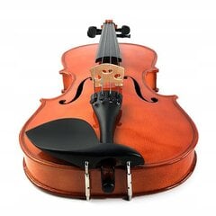 Комплект скрипки 1/2 цена и информация | Скрипки | 220.lv