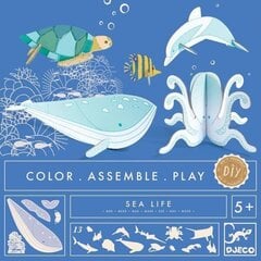 Izkrāso Savāc Spēlē Djeco Okeāns cena un informācija | Attīstošās rotaļlietas | 220.lv