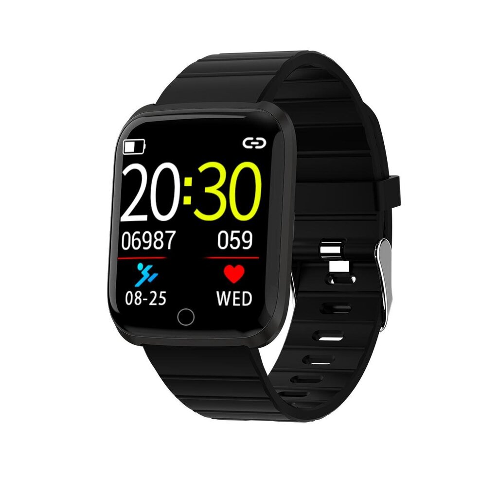 Denver SW-152 Black цена и информация | Viedpulksteņi (smartwatch) | 220.lv