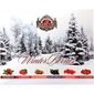 Ziemassvētku dāvanu tēja - Basilur Winter Berries Gift 60 x 2 g цена и информация | Tēja | 220.lv