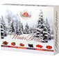 Ziemassvētku dāvanu tēja - Basilur Winter Berries Gift 60 x 2 g цена и информация | Tēja | 220.lv