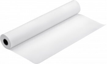 Papīra rullis Epson Proofing Paper Semimatte, 17inch x 30,5 m, 250g/m², balts cena un informācija | Kancelejas preces | 220.lv