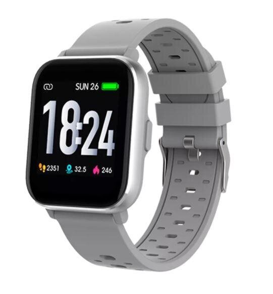 Denver SW-162 Grey цена и информация | Viedpulksteņi (smartwatch) | 220.lv