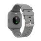 Denver SW-162 Grey цена и информация | Viedpulksteņi (smartwatch) | 220.lv