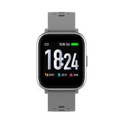 Denver SW-162, серый цена и информация | Смарт-часы (smartwatch) | 220.lv