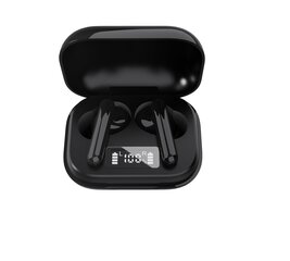 Denver TWE-38 цена и информация | Наушники с микрофоном Asus H1 Wireless Чёрный | 220.lv