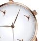 Sieviešu pulkstenis Emily Westwood EBD-0314R cena un informācija | Sieviešu pulksteņi | 220.lv