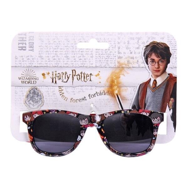 Bērnu saulesbrilles Harry Potter Melns S0725067 цена и информация | Bērnu aksesuāri | 220.lv