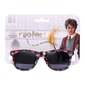 Bērnu saulesbrilles Harry Potter Melns S0725067 цена и информация | Bērnu aksesuāri | 220.lv