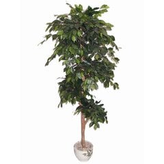 Mākslīgais augs Ficus 180cm цена и информация | Искусственные цветы | 220.lv