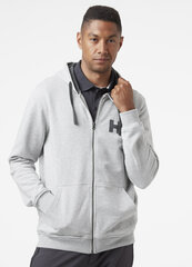 Helly Hansen мужской джемпер HH Logo Full Zip Hoodie Grey Melange 34163949, серый цена и информация | Мужские толстовки | 220.lv