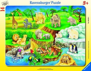 Пазл Ravensburger большой 39 деталей Зоопарк цена и информация | Пазлы | 220.lv