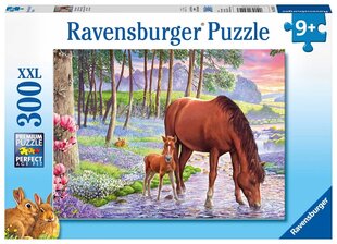 RavensBurger: XXL 300EL puzzle. - zirgi saulrieta laikā cena un informācija | Puzles, 3D puzles | 220.lv