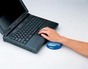 MOUSE PAD WRIST SUPPORT/BLUE 91177-72 FELLOWES цена и информация | Мыши | 220.lv