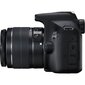 Canon EOS 2000D + 18-135mm IS Kit, melns цена и информация | Digitālās fotokameras | 220.lv