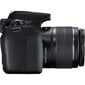 Canon EOS 2000D + 18-135mm IS Kit, melns cena un informācija | Digitālās fotokameras | 220.lv