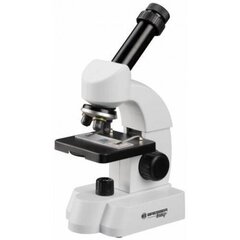 Mikroskops Junior, 40X-640X, balts cena un informācija | Attīstošās rotaļlietas | 220.lv