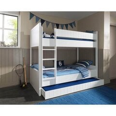Двухэтажная кровать ROBIN-VIP цена и информация | Детские кровати | 220.lv